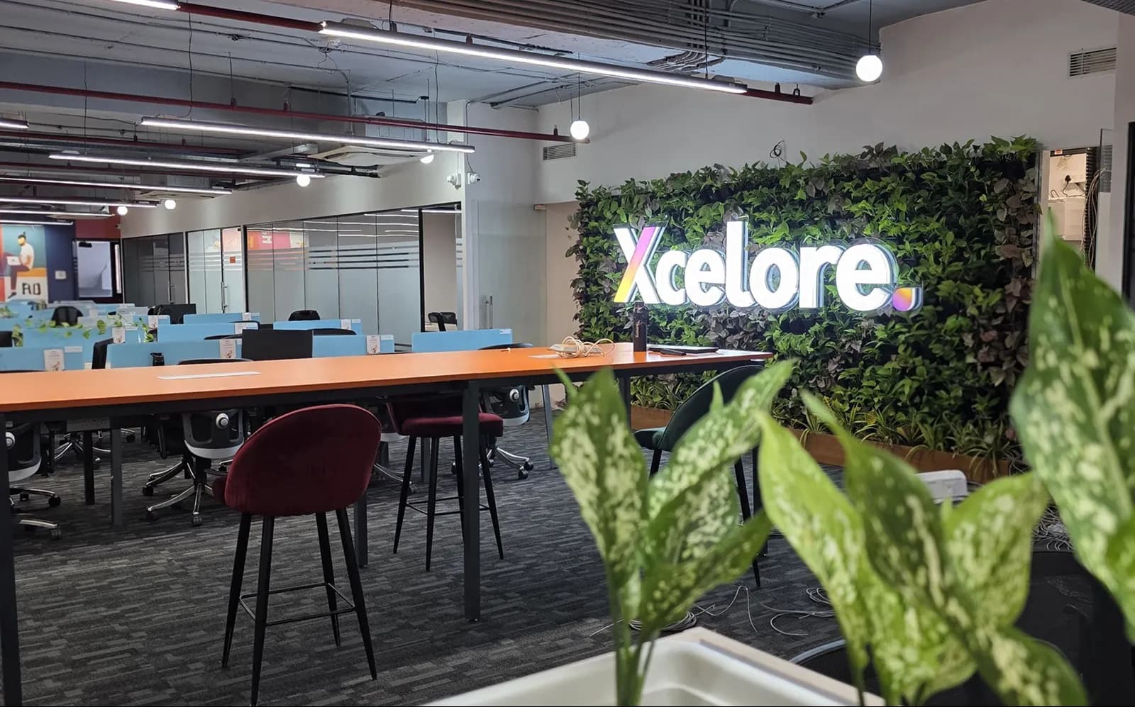 The Xcelore office